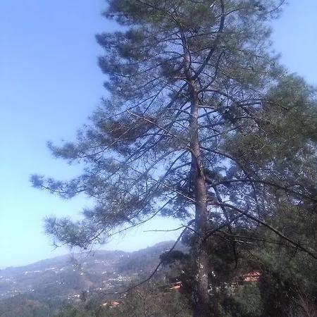 Quinta Da Fonte Da Porca Holiday home *